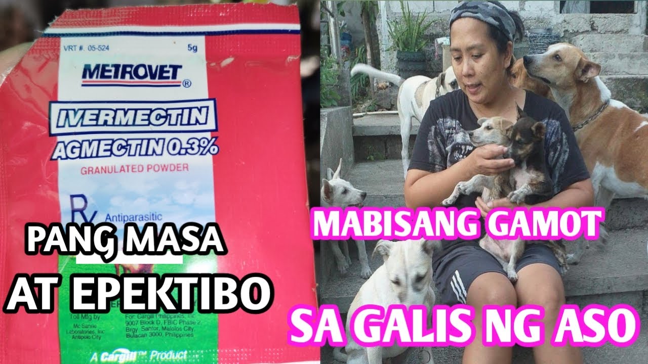 Vlog 52 GAMOT SA GALIS NG ASO KATI KATI NG ASO BALIK BALAHIBO 