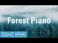 Forest Piano: Relaxing Light Easy Listening Piano Music for Working at Home