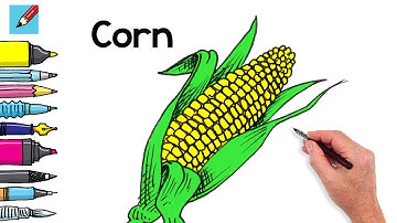 How to draw an Ear of Corn Real Easy - Easy Step by Step - Spoken Instructions