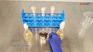 Bacterial Conjugation Teaching Kit ( PART-2)