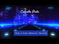 Calcinha Preta Hoje à Noite Slowed Reverb 