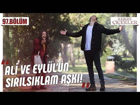 Ali ve Eylül’ün sırılsıklam aşkı! - Kırgın Çiçekler 97.Bölüm