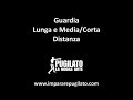 La Guardia del Pugilato - Lunga e Media/Corta Distanza - www.impararepugilato.com - Simone Bianchi