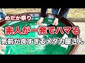【めだか祭り】素人が一発でハマる！気前が良すぎるメダカ屋さん