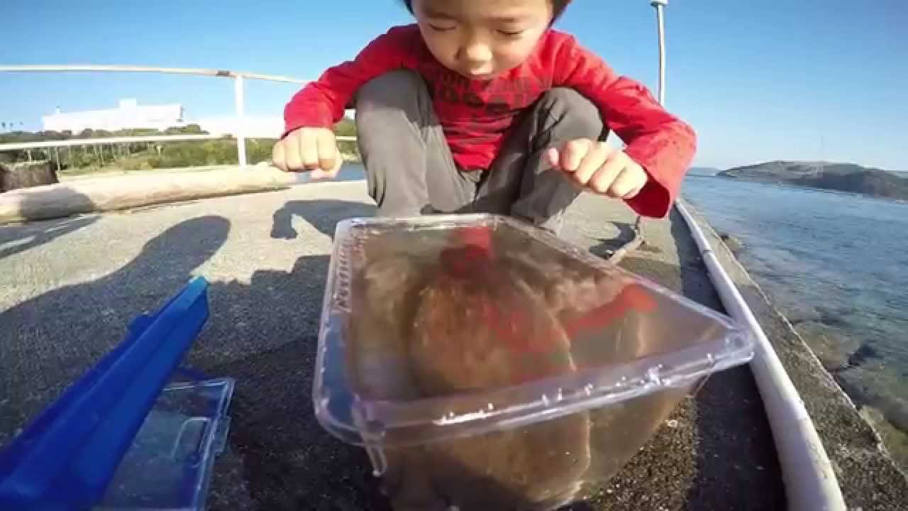 Gopro カニカゴで 獲れた Hero4 Se Youtube Gopro カニカゴで 獲れた Hero4 Se Youtube
