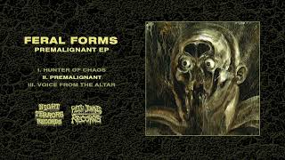 FERAL FORMS "Premalignant EP" (2023) Full Streaming