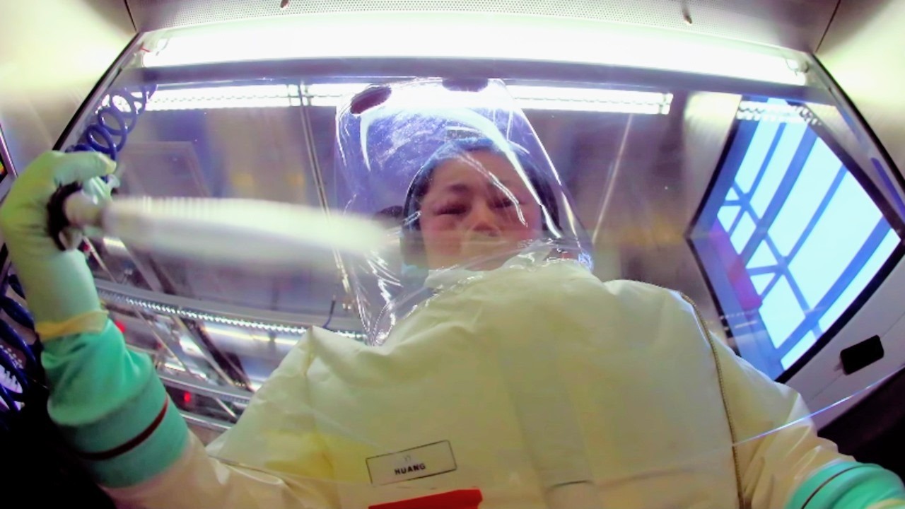 Утечка из Уханьской лаборатории P4