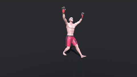 Boxing Animation Pack ,