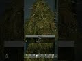 VERDADEIRO DAY Z #shorts  #shortvideo #gaming #dayzgamers
