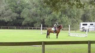 marco snips   HD 720p