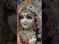 Hare krishnaviral shortsytshorts protima ghosh01mistiradheradhe