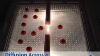 Tsd 3B Scientific Air Cushion Plate.flv
