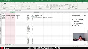 Excel Ep 2 - How to Vlookup (TRUE Approximate Match)