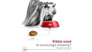 Royal Canin X-Small 7  Adult Dog Food Review: Is It Worth the Price for Seniors?