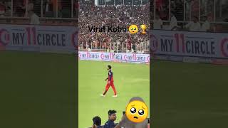 Virat Kohli sad rcb vs PBks 🏆 Virat Kohli #viralshort #india🥺