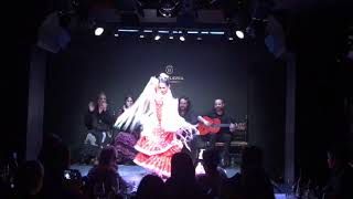 Фламенко шоу във Валенсия с Александра Травел/ Flamenco in Valencia with Alexandra Travel