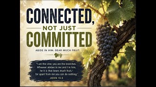 Connected not just Committed