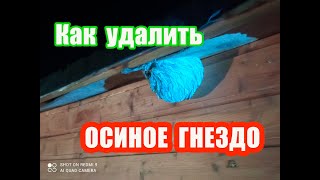 Накурили  гнездо. Убираем осиный улей.  Отвага на грани идиотизма. #осы