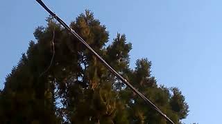 WP 20150317 001