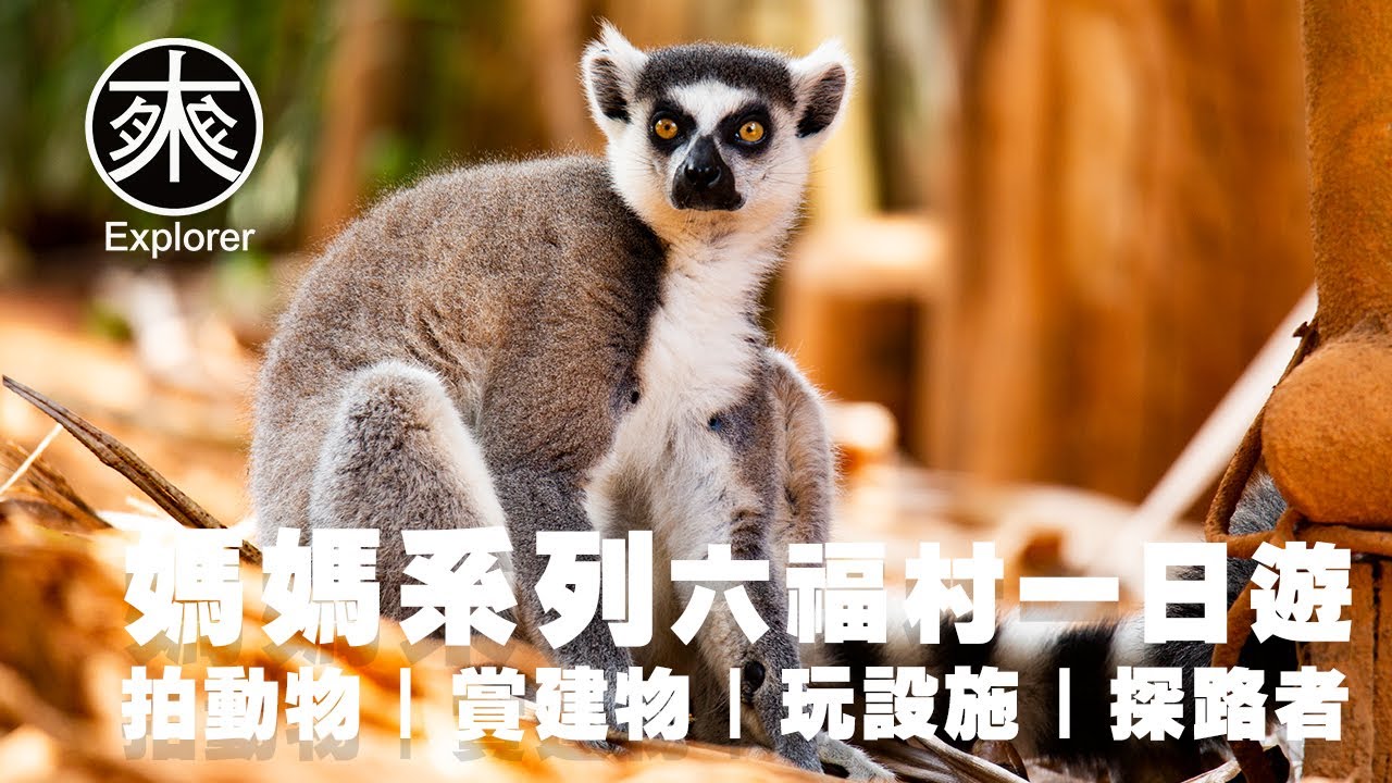 六福村一日攻略｜這裡可以拍動物、欣賞異國風建築，還有好玩的設施，趁著暑假帶著小孩去旅行｜媽媽系列｜探路者