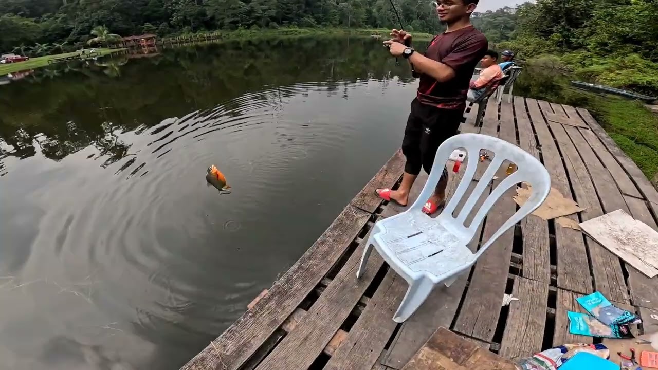 Meracun kawan memancing, Alhamdullilah dia jumpa satu hobi lagi bagus daripada mengurat janda. 🤣🤣