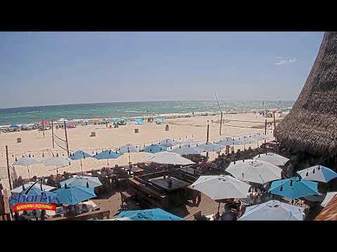 🔴Sharky's Beachfront Restaurant - Panama City Beach,  Florida - Live Cam
