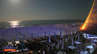 🔴Sharky's Beachfront Restaurant - Panama City Beach,  Florida - Live Cam