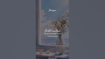 سورة غافر #القرآن_الكريم #المصحف #اكسبلور #quran