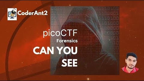 CanYouSee | Forensics | picoCTF | Cyber Security | CoderAnt2