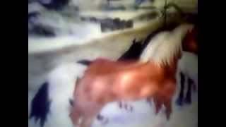 Capture 20140102 2
