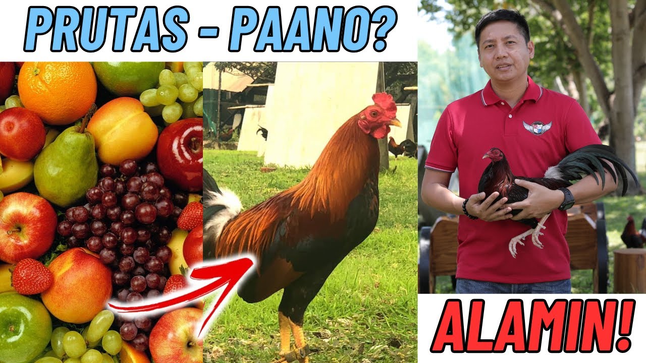 Pointing Tips: Prutas, Paano Gamitin? ALAMIN!