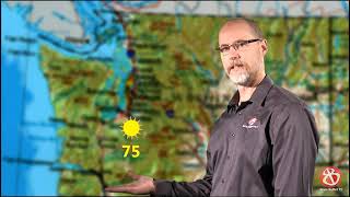 Weather Report Project