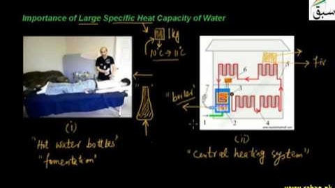 9 Importance of Large specific Heat Capacity of Water ch8 9th
