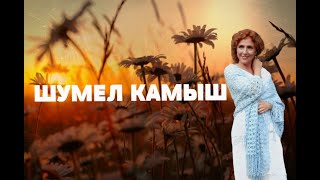 Video thumbnail of "💥🙏ГОЛОС ПРОБИРАЕТ ДО МУРАШЕК!!!🙏Шумел камыш - Юлия Боголепова"