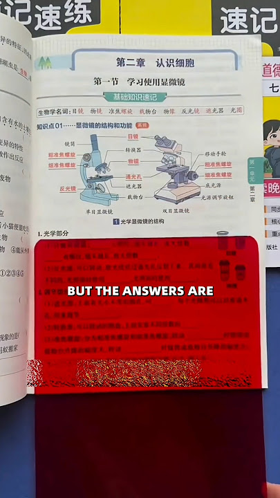 Japanese Stundent Studying Technique