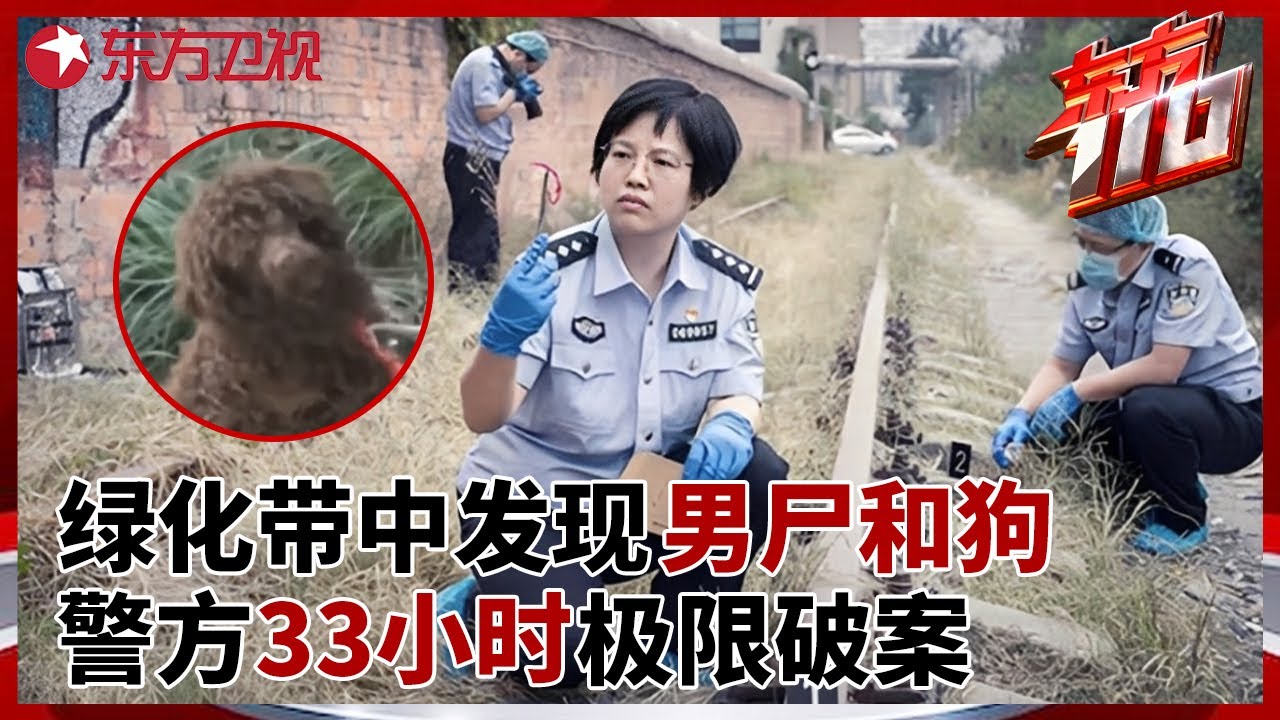 绿化带中发现离奇男尸, 脖子上拴着一条狗隐藏关键线索, 警方33小时极限破案 #东方110 FULL
