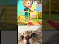#catphotos #cat  # cartoon # video #lifeisbutadream #catmemes
