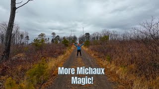 Twin Tower Hidden Gem in Michaux State Forest