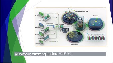 HMD ARG Identifying antibiotic resistance genes through machine learning