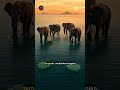 5 Fakta Mengejutkan Tentang Sundaland, Benua Kuno yang Tenggelam di Bawah Laut Indonesia?