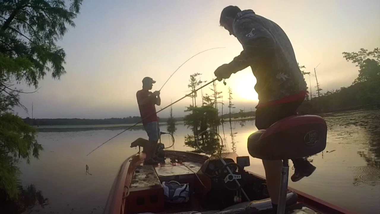 Bass Fishing Conway June 6, 2017 YouTube