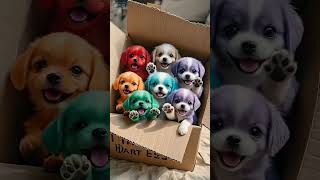 A Box Of Cute Puppies Healing Cute Little Dog