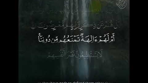 ما تيسر من سورة الأنبياء بصوت الشيخ ناصر القطامي 🤍