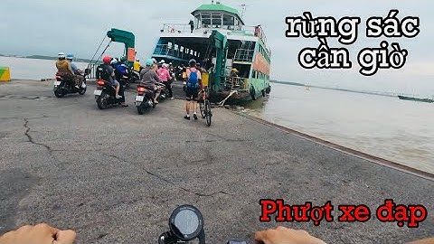 Trải nghiệm đạp xe xuống cần giờ - cung đường rừng sác |#58