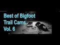 My Bigfoot Story Ep. 130 - Bigfoot Trail Cams Best of Vol. 6