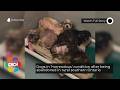 Dogs in ‘horrendous’ condition after being abandoned in rural southern Ontario