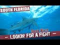 Dana White: Lookin’ for a Fight - Temporada 4 - Ep.2