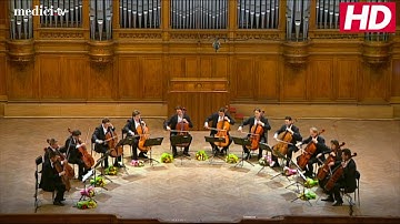 The 12 Cellists of the Berlin Philharmonic Orchestra - The Pink Panther Theme