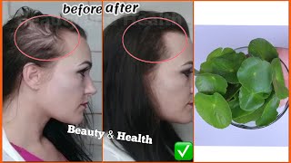 HAIR GROWTH | 7 day Hair Miracle | With Proven Real Results | Centella  Asiatica,Gotu Kola Magic - YouTube