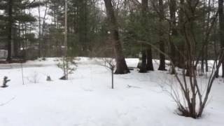 Is spring ever going to arrive?